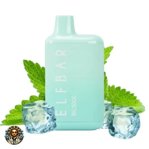 ELFBAR Miami Mint EB BC5000 (1)