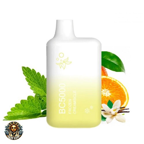 ELFBAR Snoow Ice BC5000 (1)