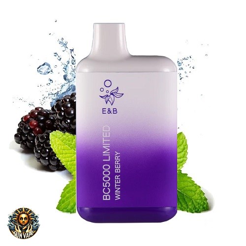 ELFBAR Winter Berry BC5000 (2)